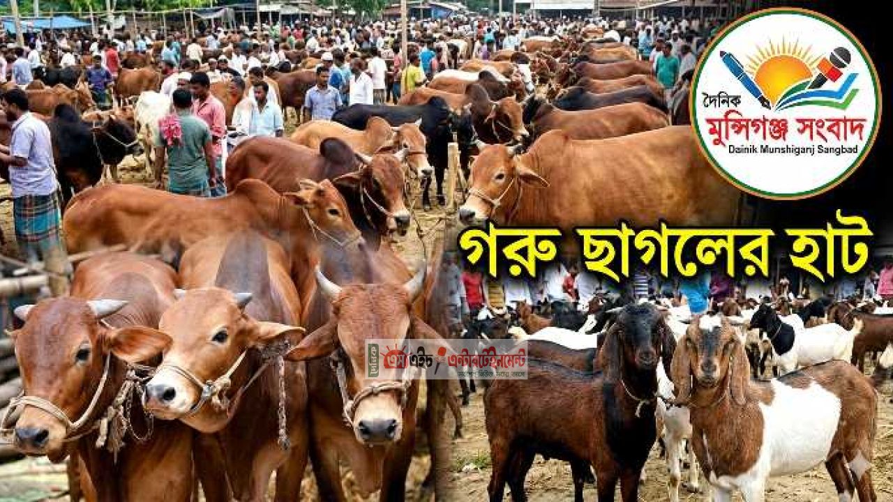 পদ্মাপাড়ের লৌহজংয়ে ৫টি পশুর হাটের ইজারা চূড়ান্ত, বিপুল রাজস্ব আয়।